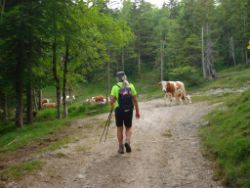 2013-07-20_Regina-F-Rau_Kochel-Rabenkopf (527).JPG